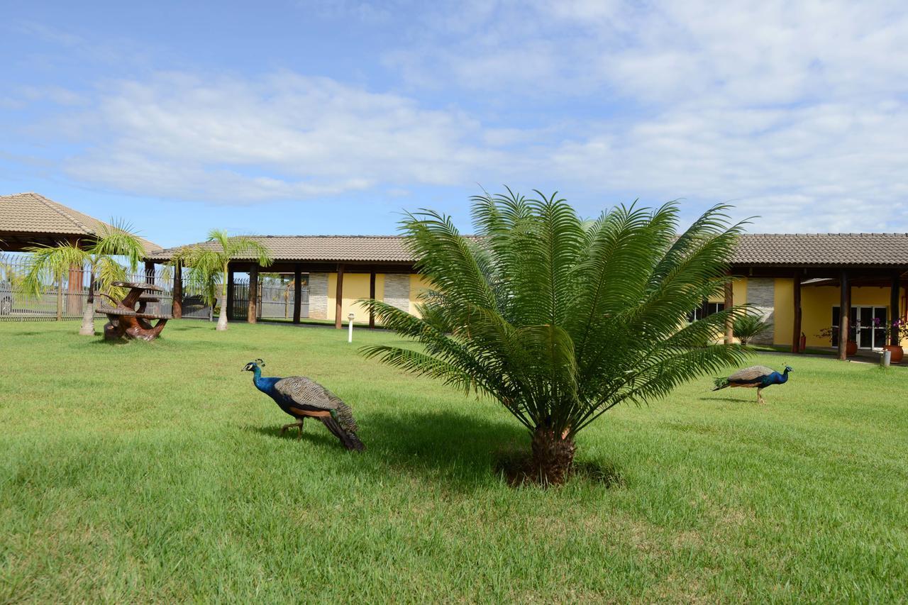Pousada Haras Santa Rita Poconé Εξωτερικό φωτογραφία
